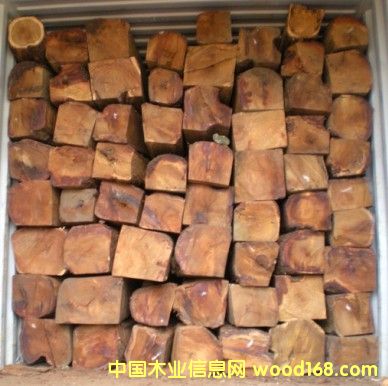 ��������������ľ��