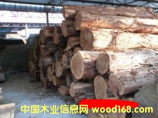 香柏木的詳細(xì)介紹