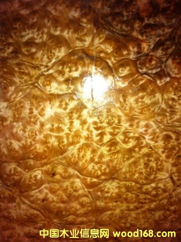 �S������(sh��)���Ԕ��(x��)��B