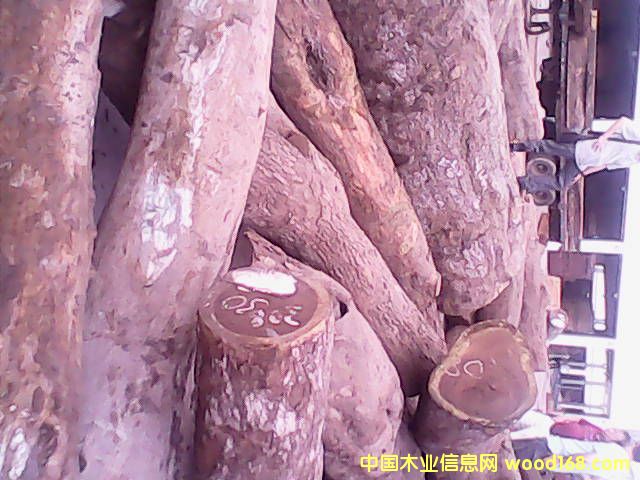 Īɣ�ȿ�Ƥ��ԭľ