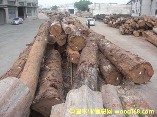 ������̴��ؐ