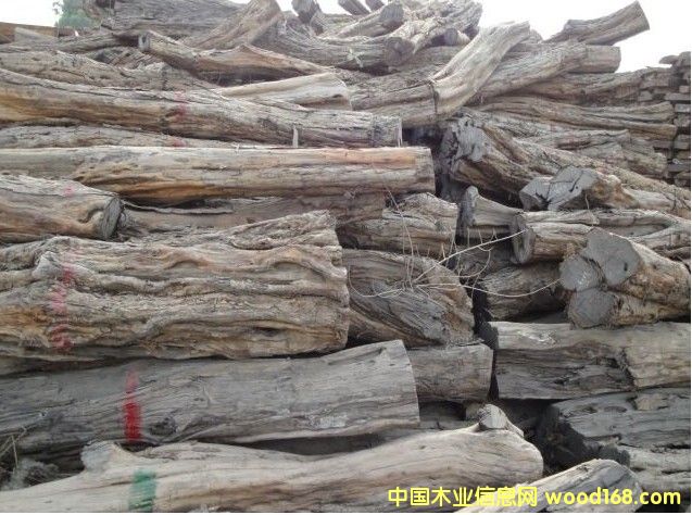 �|�Ǻ��S̴/���ޞ�ľ/�Ϲ�̴--�M(j��n)�ڈ��P(gu��n)������Ԕ��(x��)��B