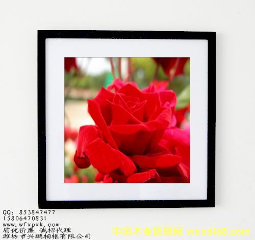 40��40cm����?q��)�ľ����Ԕ����B