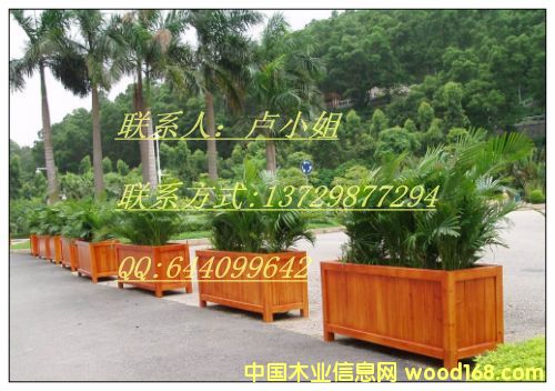 ����3��Ԕ����B