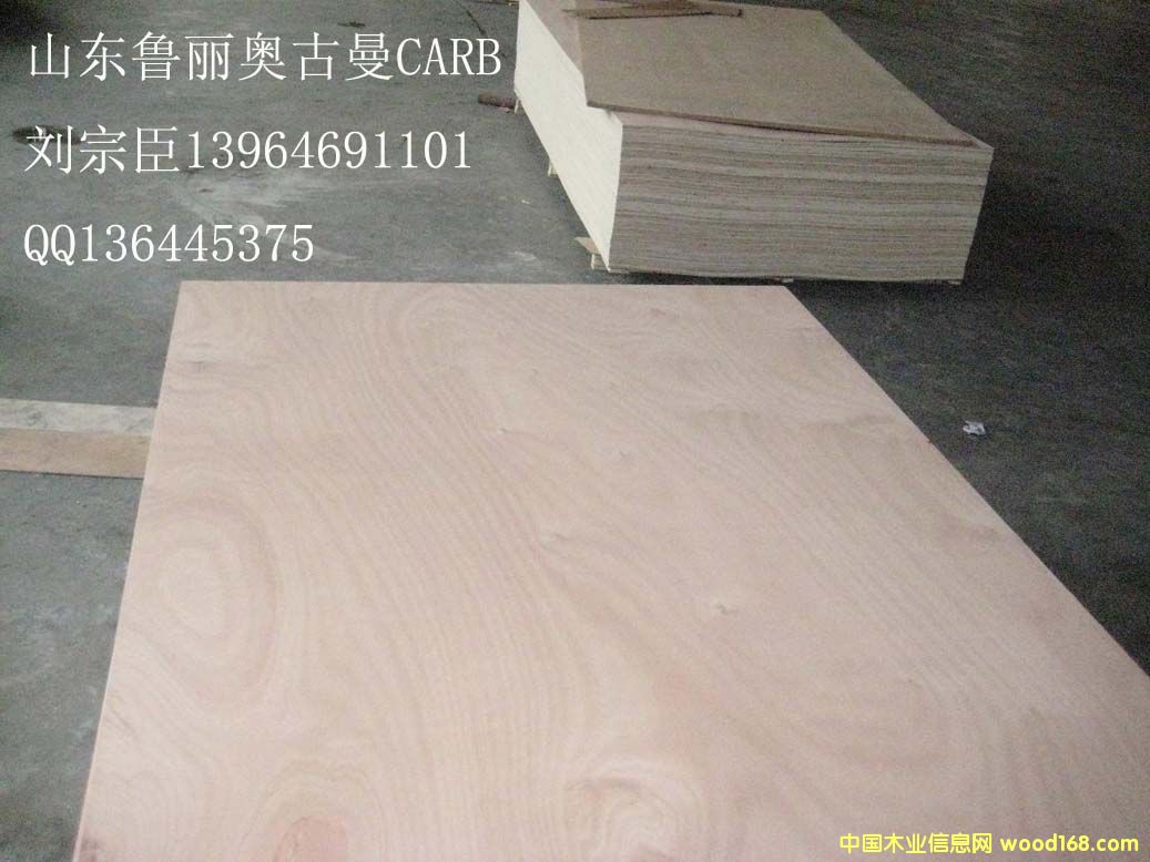 �W�������Ӱ�