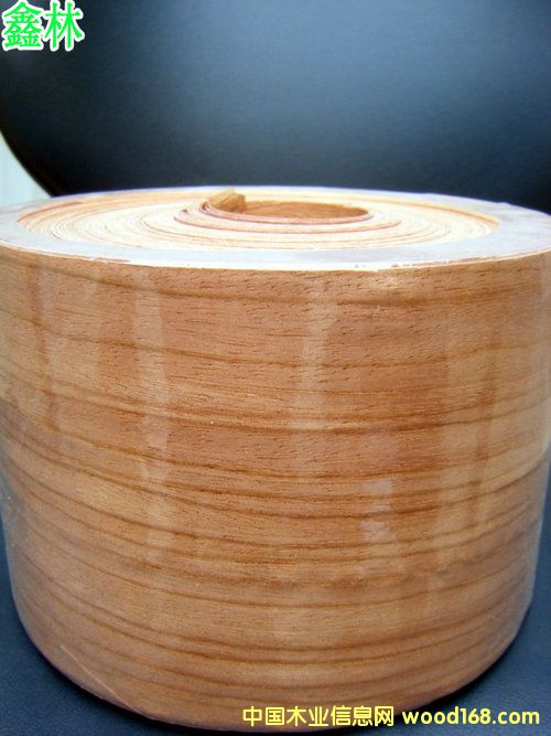 �tõ�����ľƤ��Ԕ����B