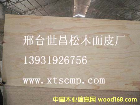 ݗ������Ƥ��Ԕ��(x��)��B