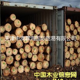 �W�ɵ�Ԕ����B