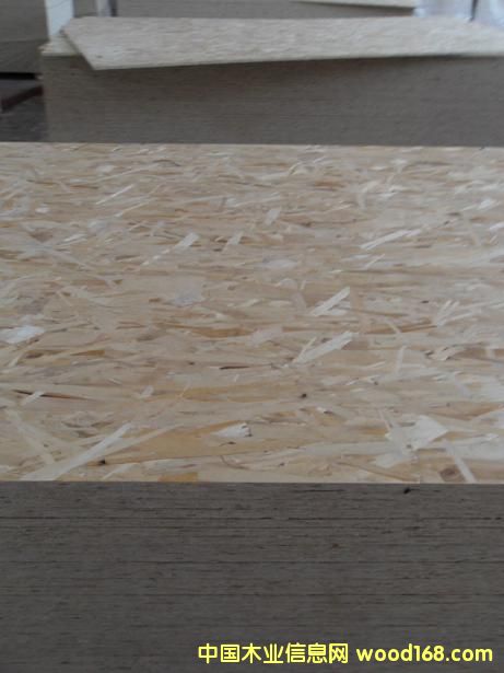 �����W����ȩ�zosb�����ٻ���W�ɰ�