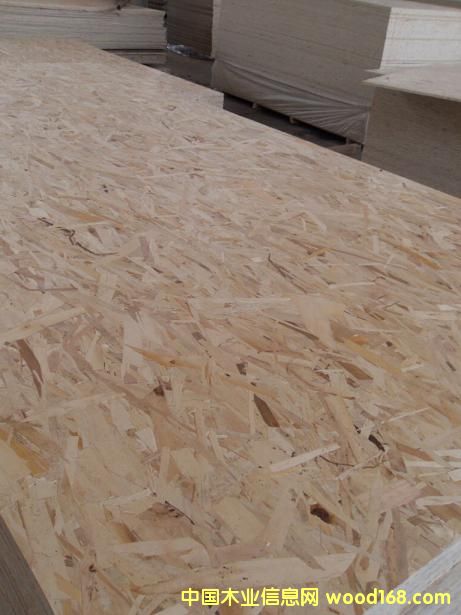 �����W�ɰ��b��osb�����ٻ���W�ɰ�