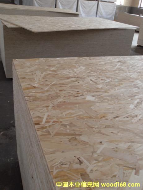 �����W�ɷ�ȩ�zosb�����ٻ���W�ɰ�