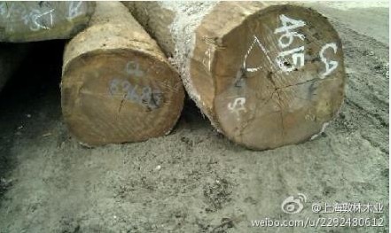 ���ǹ���Ԕ��(x��)��B