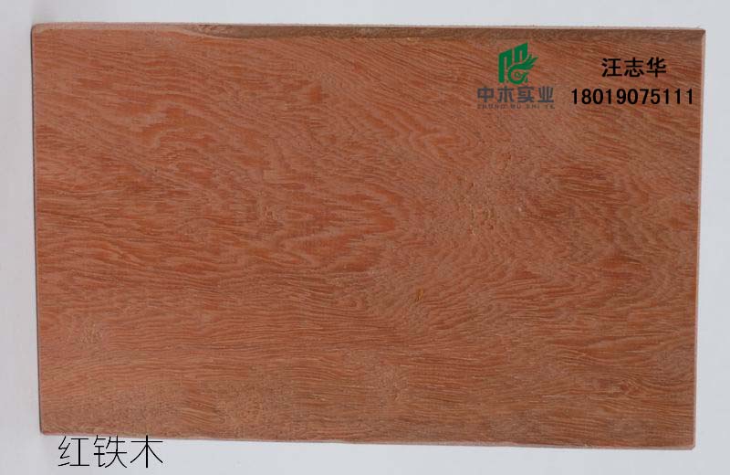 �t�Fľ��Ԕ��(x��)��B