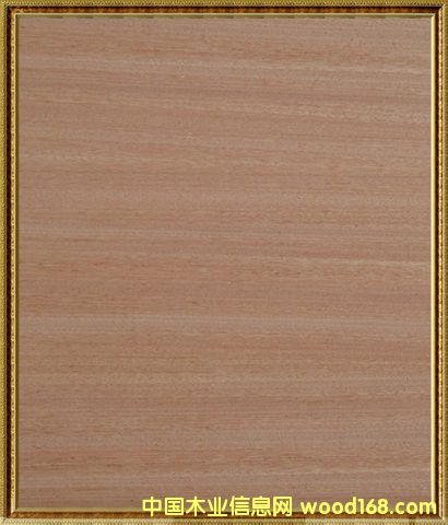 ���ѩ���������-ɳ����