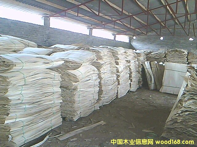 ����Ԕ��(x��)��B