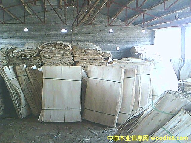 ����Ԕ��(x��)��B