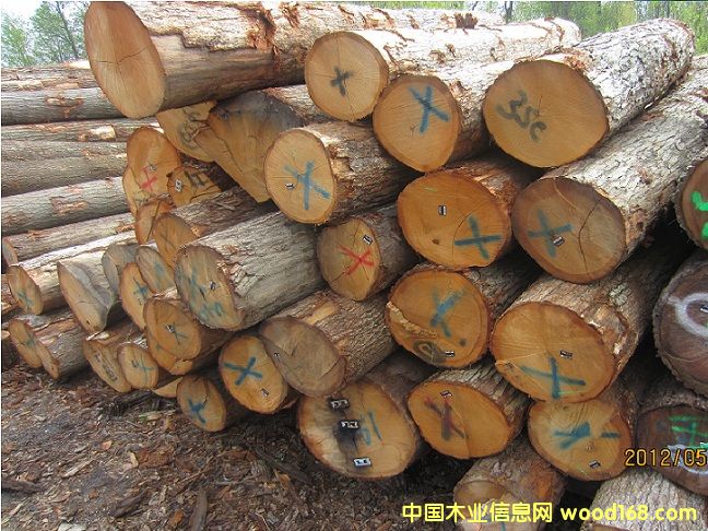 ����(gu��)����ԭľ��Ԕ��(x��)��B