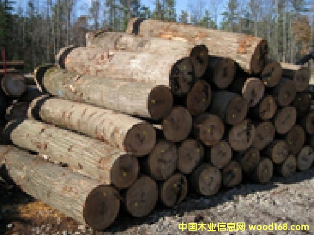 ����(gu��)�t��ԭľ��Ԕ��(x��)��B