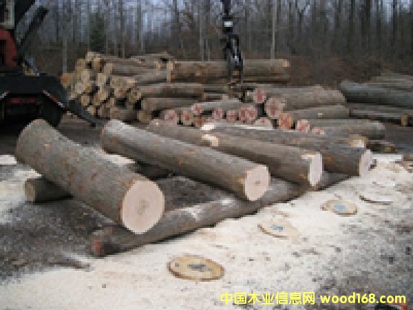 ����(gu��)Ӳ��ԭľ��Ԕ��(x��)��B