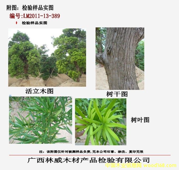 �z򞌍�D��Ԕ��(x��)��B