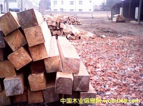 紅松大方的詳細(xì)介紹