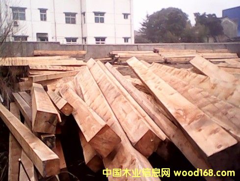 �M(j��n)�ڼt�ɴ󷽵�Ԕ��(x��)��B