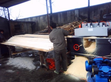 白松條的詳細(xì)介紹