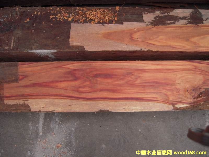 ӡ�Ứ���Ԕ��(x��)��B