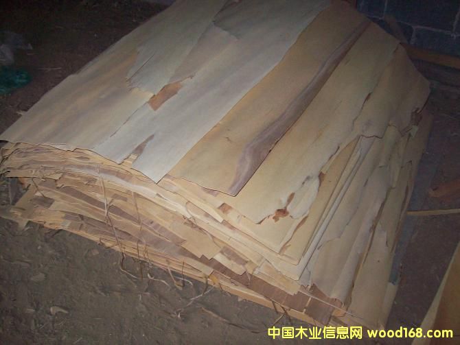 �����Į��ͳߵ�Ԕ��(x��)��B