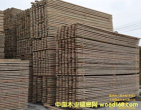 ����ľ ��Ԕ��(x��)��B