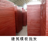 ����ģ���Ԕ��(x��)��B