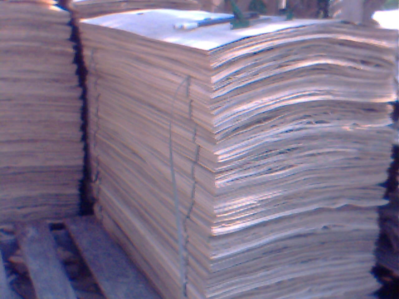 ��ľ��Ƥ��Ԕ��(x��)��B