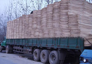 ��ľ��Ƥ��Ԕ��(x��)��B