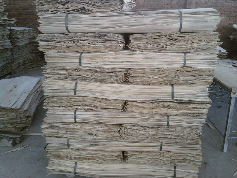 ��ľ��Ƥ��Ԕ��(x��)��B