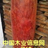 �Ჴ����̴��Ԕ��(x��)��B