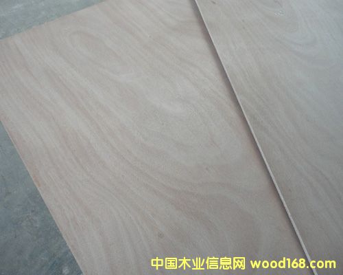 Ⱥ�����Ӱ�9mm��Ԕ����B