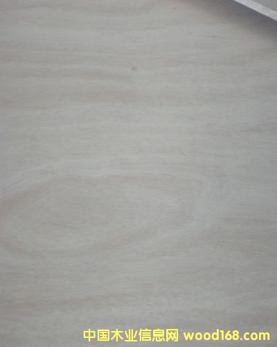 16mm��ľ�����Ԕ����B