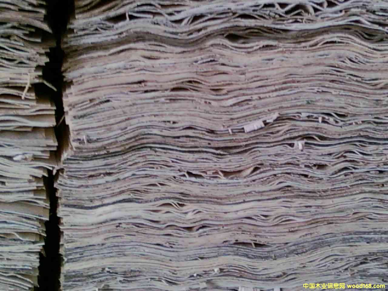 ��ľ�ΰ�1��Ԕ����B