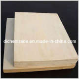 Poplar Plywood