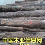 �R�_��˹�ӱR�Ϻ��S̴