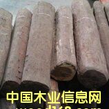 �Ჴ�����~��̴