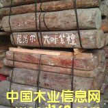 �Ჴ�����~̴