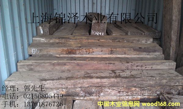 �ϓ��t��֦