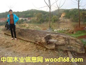 ꎳ���z�ľ��Ԕ��(x��)��B