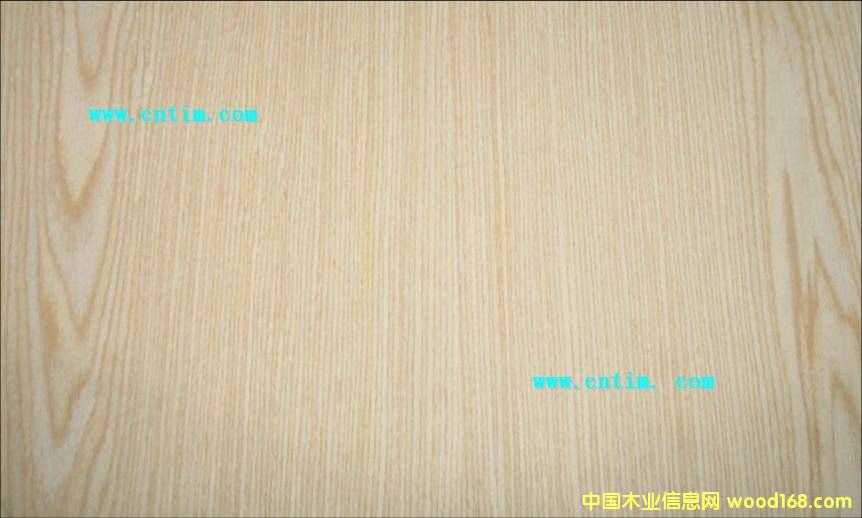 �t����������z�ϰ��Ԕ��(x��)��B