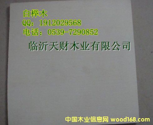 �t����י����z�ϰ��Ԕ��(x��)��B