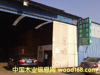 ��ľ��Ԕ��(x��)��B