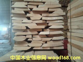 �W�ޙ�ľ,�_�R�၆�t��