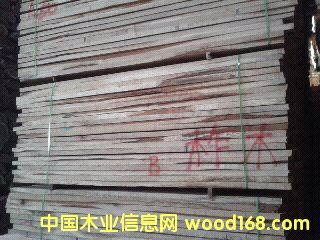 �����ľ���