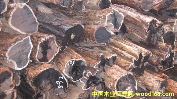 ���ޞ�ľ���Ϲ�̴���|�Ǻ��S̴��Ԕ��(x��)��B